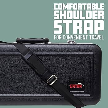 ストロベル strobel ヴィオラ　MA-80 15インチ ケース付き ストロベル strobel ヴィオラ MA-80 15インチ ケース付き Amazon